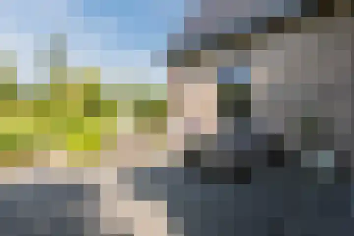 Zwanebloem 18 Oudkarspel thumbnail 50