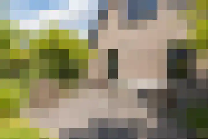 Zwanebloem 18 Oudkarspel thumbnail 51