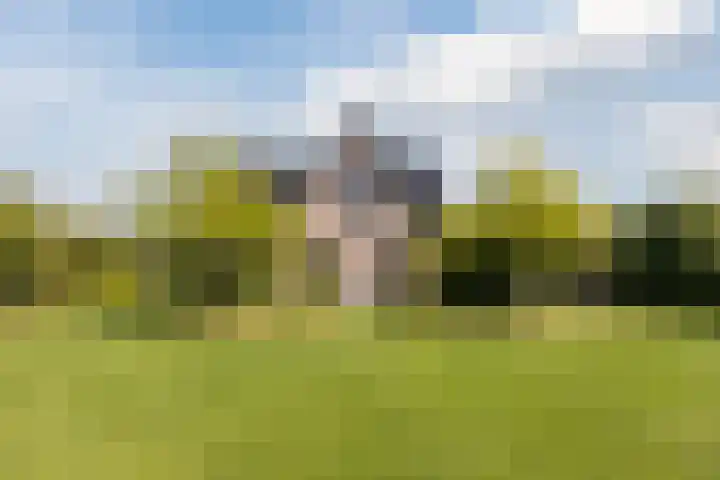 Zwanebloem 18 Oudkarspel thumbnail 57