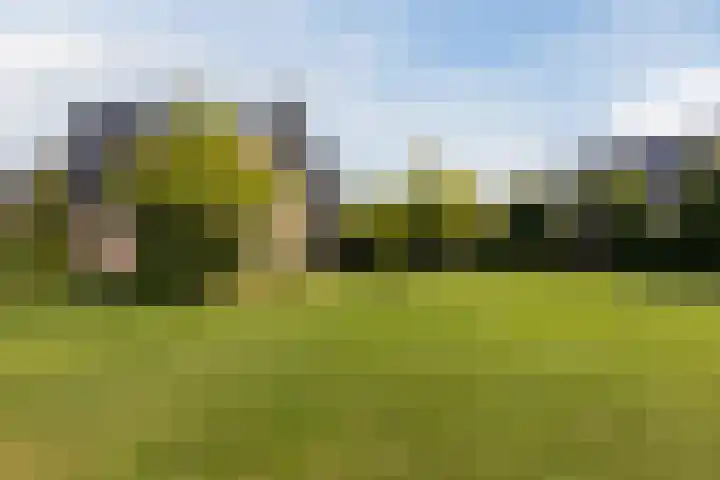 Zwanebloem 18 Oudkarspel thumbnail 58