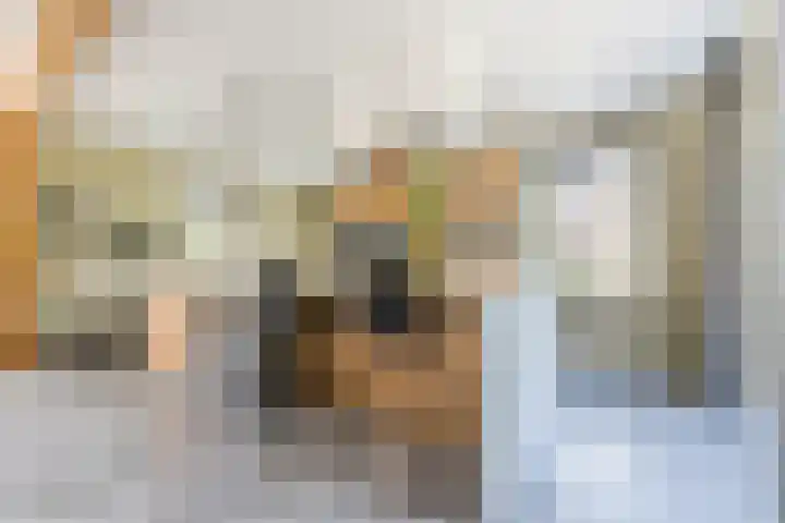 Zwanebloem 18 Oudkarspel thumbnail 6