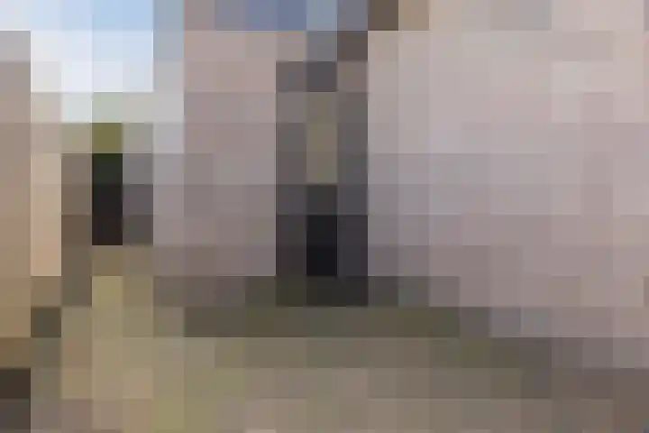 Zwanebloem 18 Oudkarspel thumbnail 60
