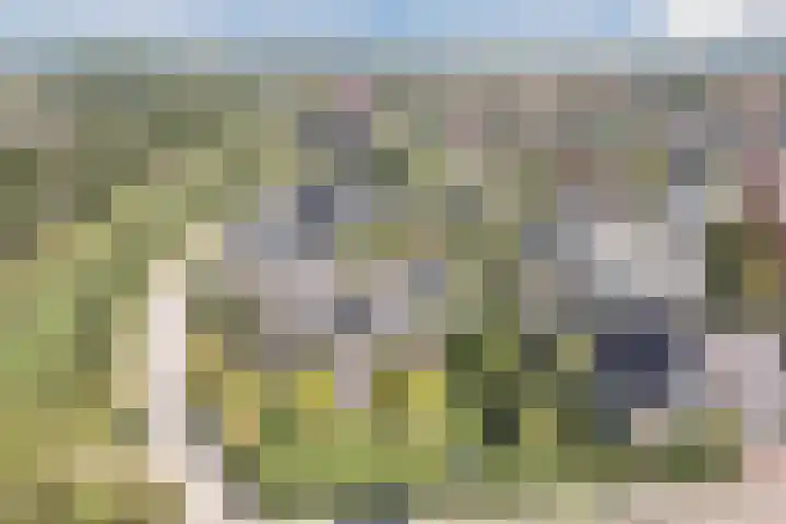 Zwanebloem 18 Oudkarspel thumbnail 64