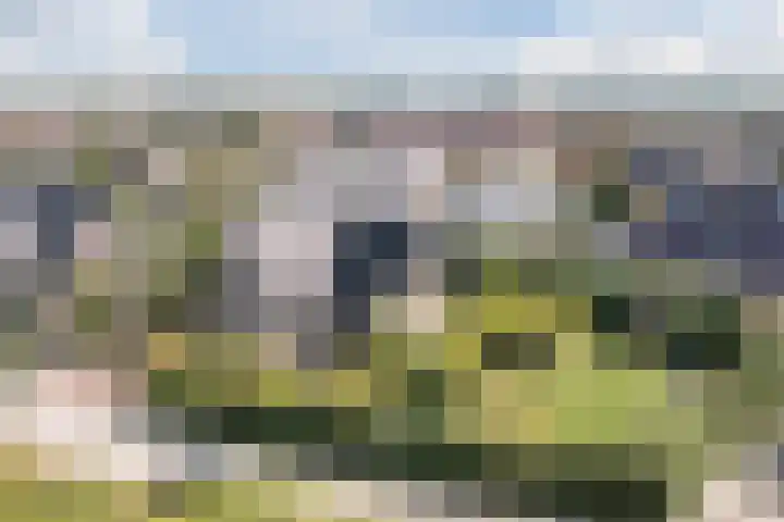 Zwanebloem 18 Oudkarspel thumbnail 66