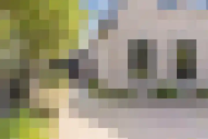 Zwanebloem 18 Oudkarspel thumbnail 67