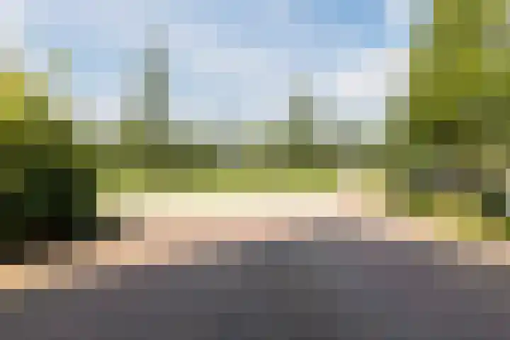 Zwanebloem 18 Oudkarspel thumbnail 68