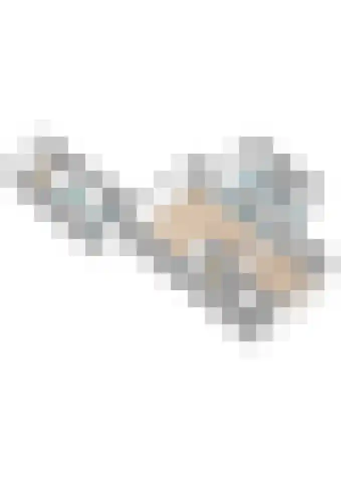 Zwanebloem 18 Oudkarspel thumbnail 70