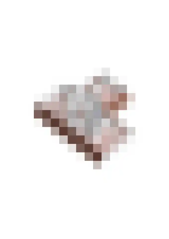 Zwanebloem 18 Oudkarspel thumbnail 71