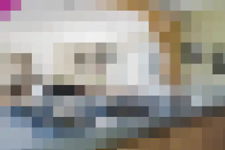 Zwanebloem 18 Oudkarspel thumbnail 8
