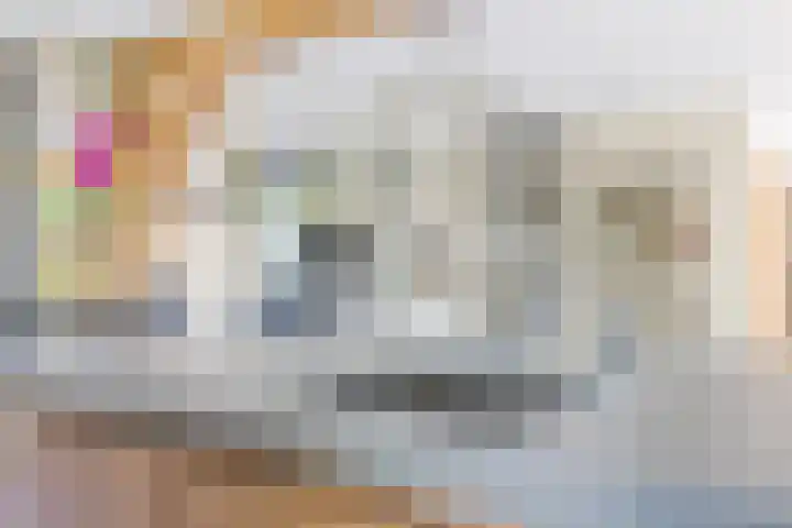 Zwanebloem 18 Oudkarspel thumbnail 9