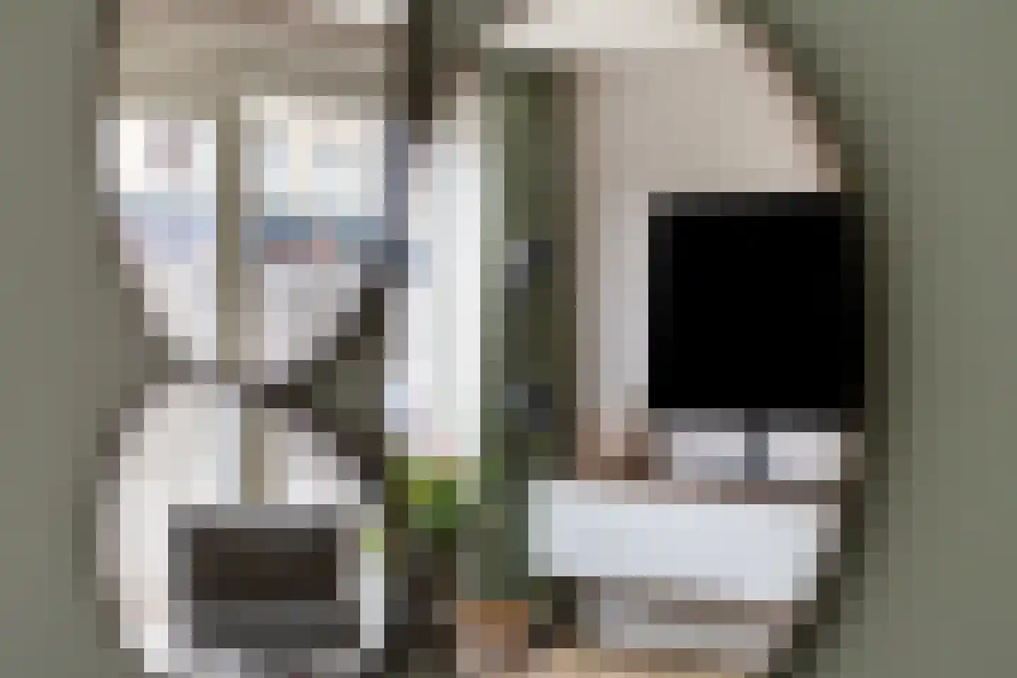 Zwanebloem 2 Alphen aan den Rijn thumbnail 13
