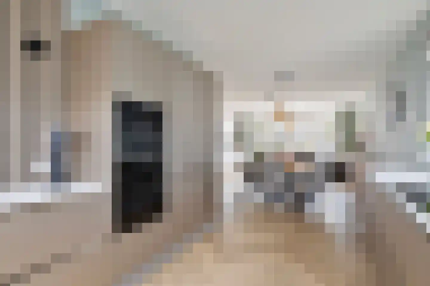 Zwanebloem 2 Alphen aan den Rijn thumbnail 16