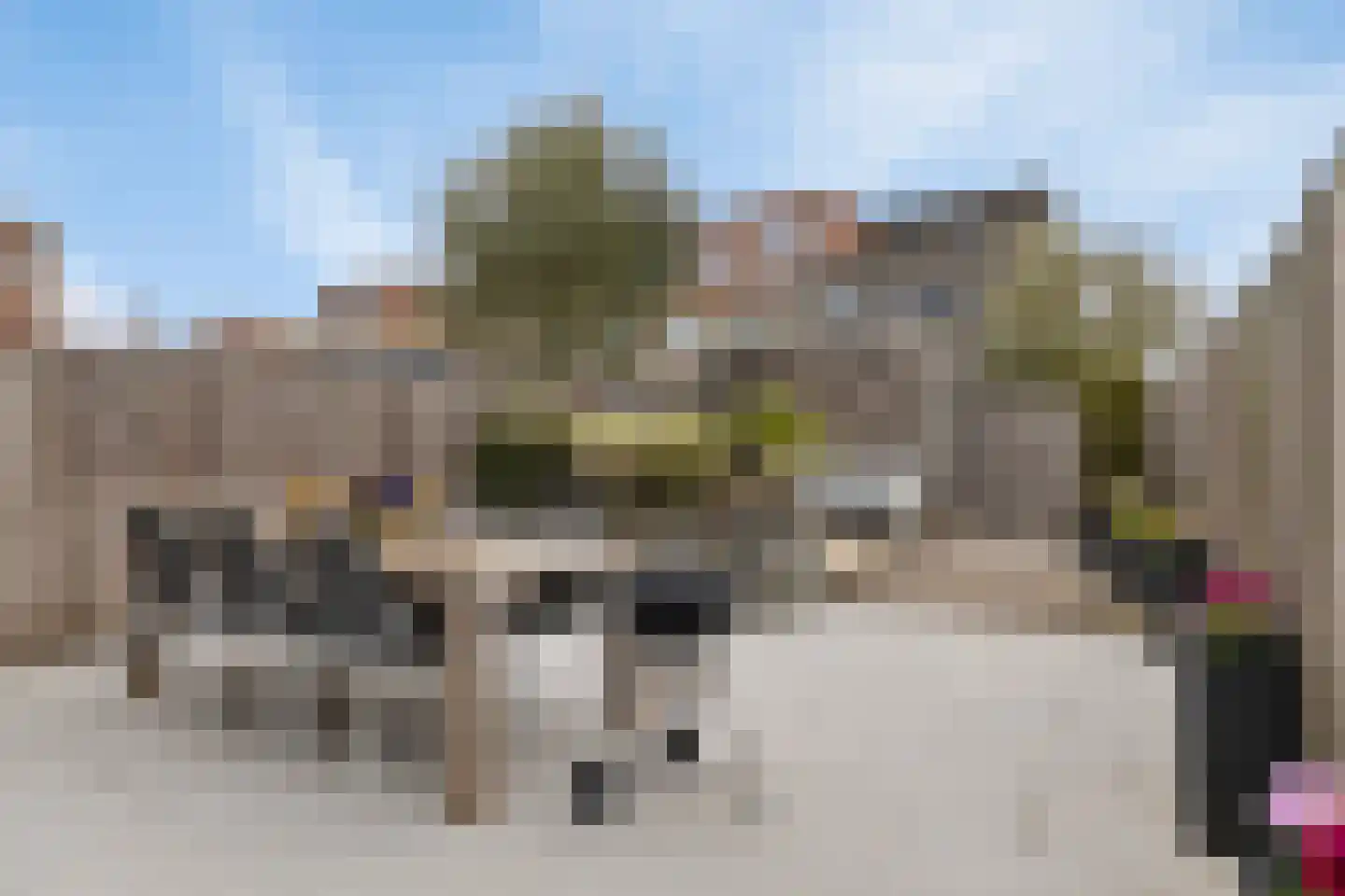 Zwanebloem 2 Alphen aan den Rijn thumbnail 20