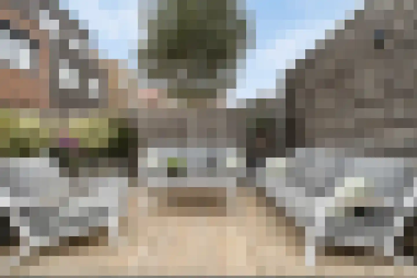 Zwanebloem 2 Alphen aan den Rijn thumbnail 21