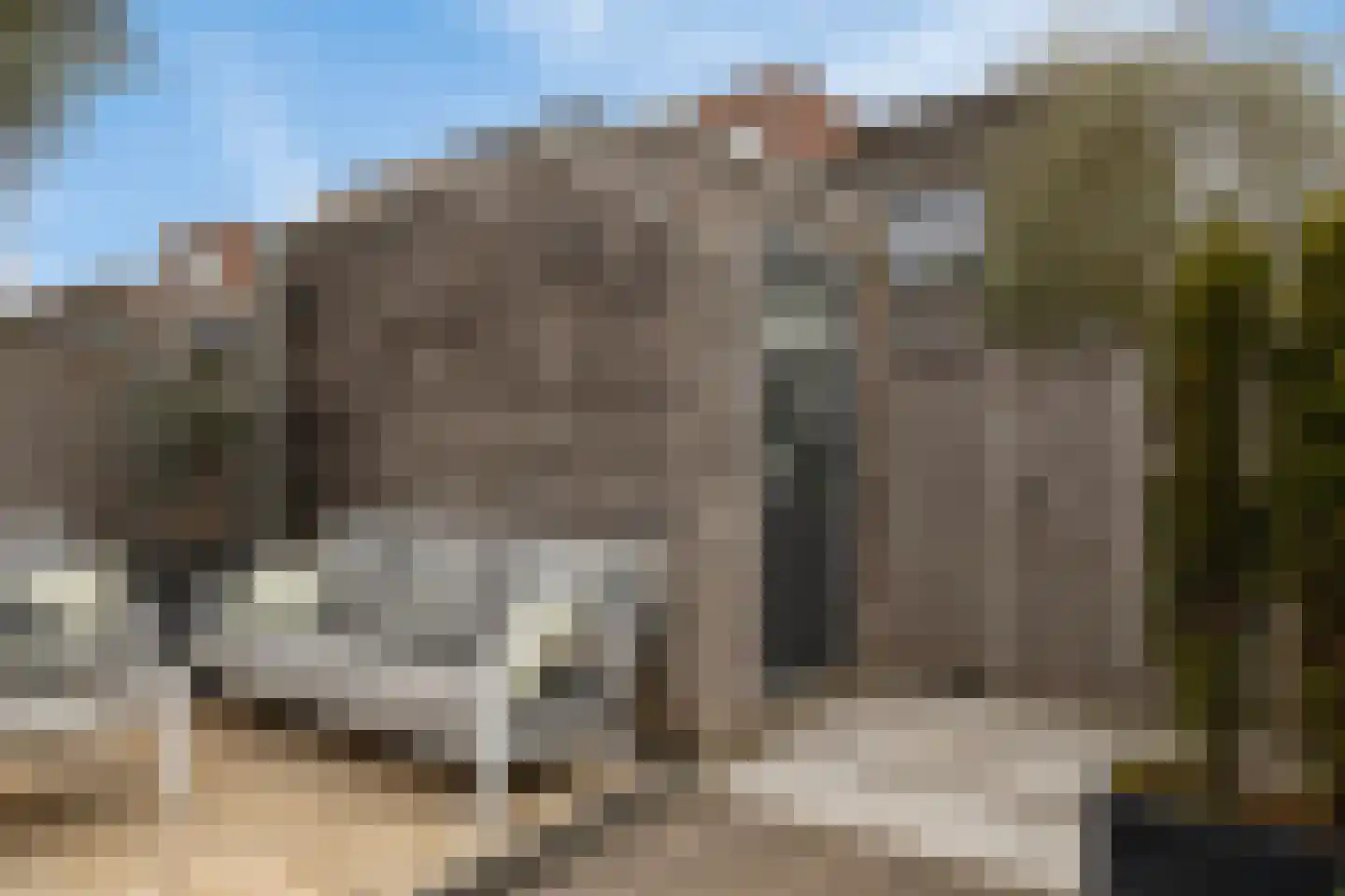 Zwanebloem 2 Alphen aan den Rijn thumbnail 22