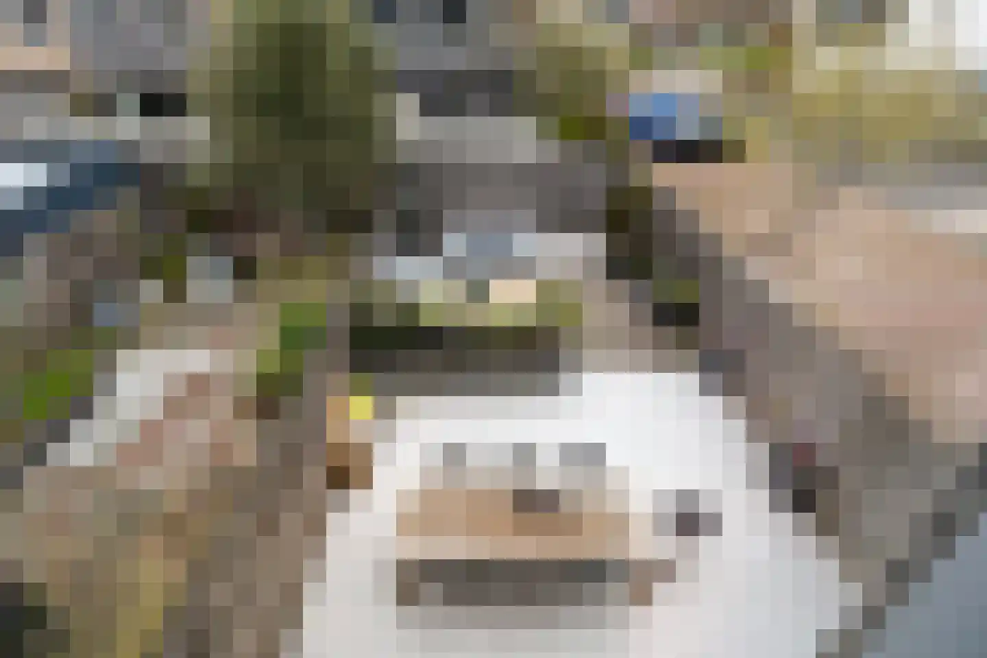 Zwanebloem 2 Alphen aan den Rijn thumbnail 24