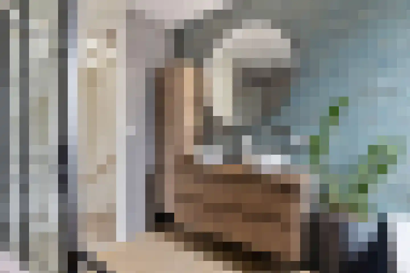 Zwanebloem 2 Alphen aan den Rijn thumbnail 31