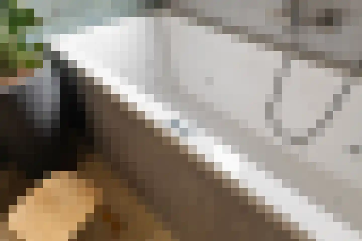 Zwanebloem 2 Alphen aan den Rijn thumbnail 32