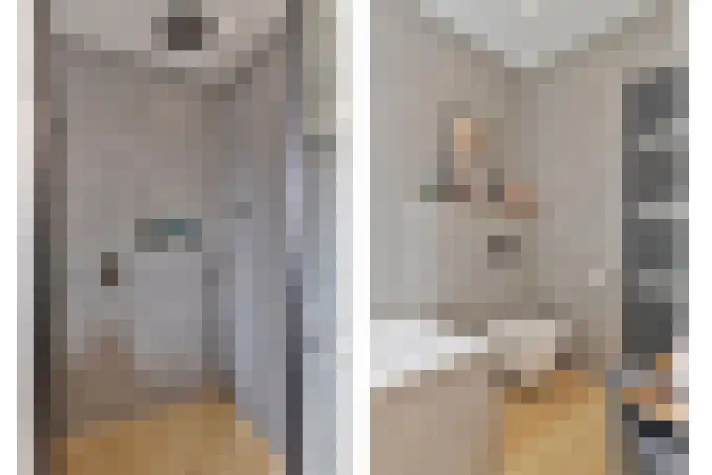 Zwanebloem 2 Alphen aan den Rijn thumbnail 33