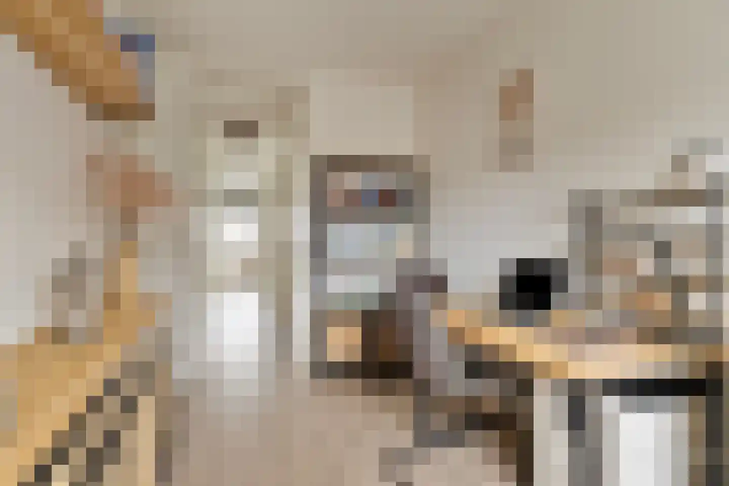Zwanebloem 2 Alphen aan den Rijn thumbnail 37