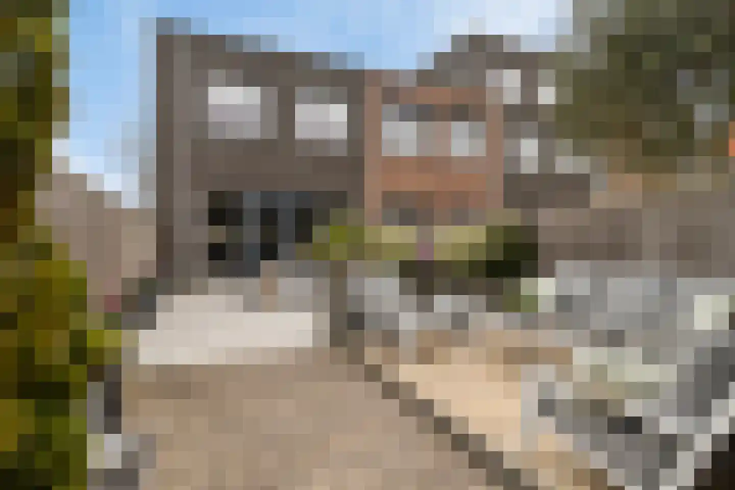 Zwanebloem 2 Alphen aan den Rijn thumbnail 4