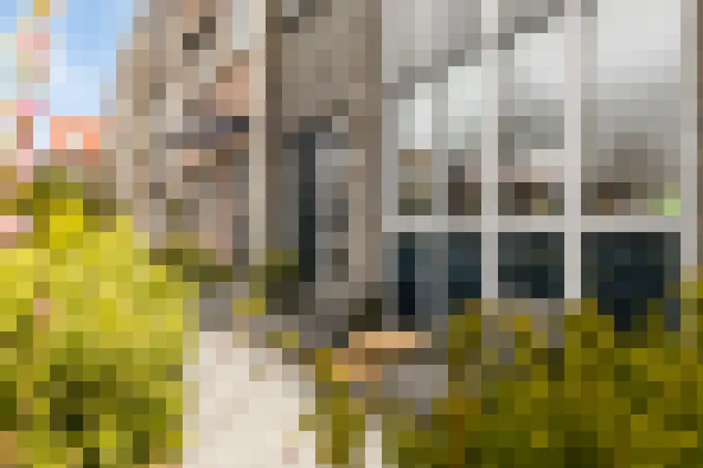 Zwanebloem 2 Alphen aan den Rijn thumbnail 5