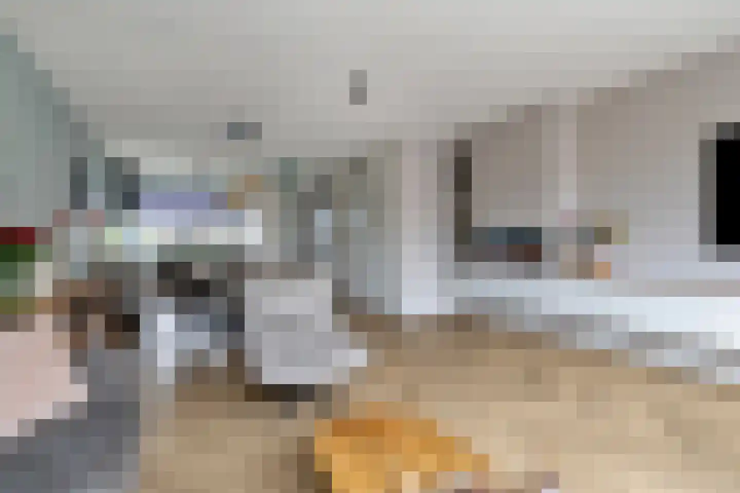Zwanebloem 2 Alphen aan den Rijn thumbnail 9