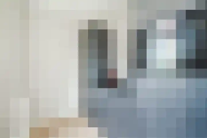 Zwanebloem 2 Odijk thumbnail 11