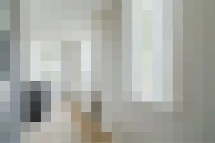 Zwanebloem 2 Odijk thumbnail 13