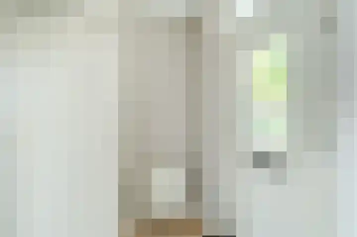 Zwanebloem 2 Odijk thumbnail 17