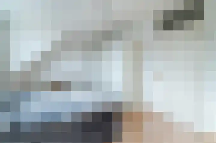 Zwanebloem 2 Odijk thumbnail 21