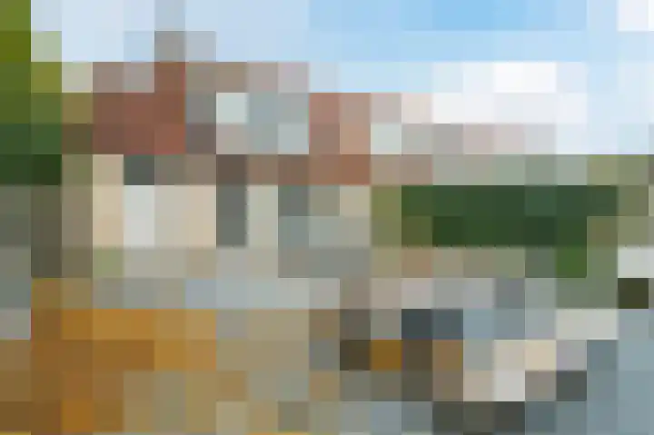 Zwanebloem 2 Odijk thumbnail 37