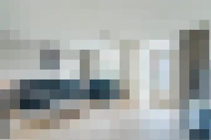 Zwanebloem 2 Odijk thumbnail 5
