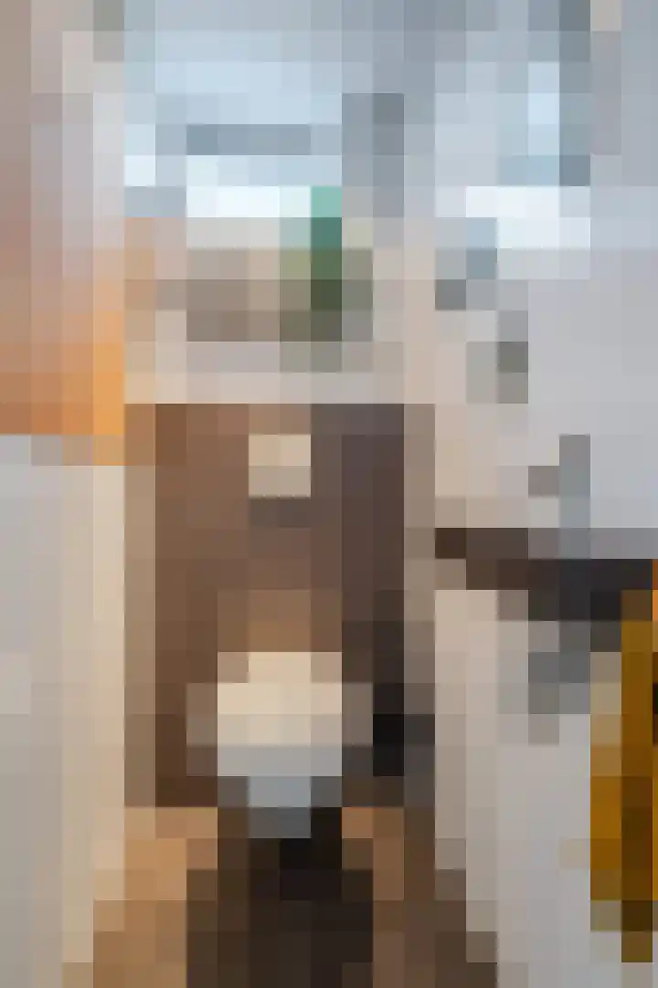 Zwanebloem 21 Bodegraven thumbnail 12