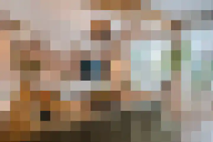 Zwanebloem 21 Bodegraven thumbnail 13