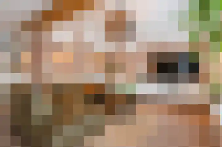 Zwanebloem 21 Bodegraven thumbnail 14