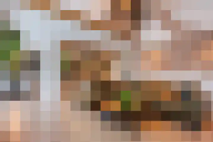 Zwanebloem 21 Bodegraven thumbnail 15