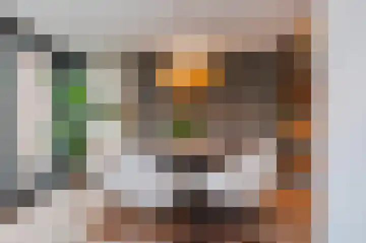 Zwanebloem 21 Bodegraven thumbnail 17