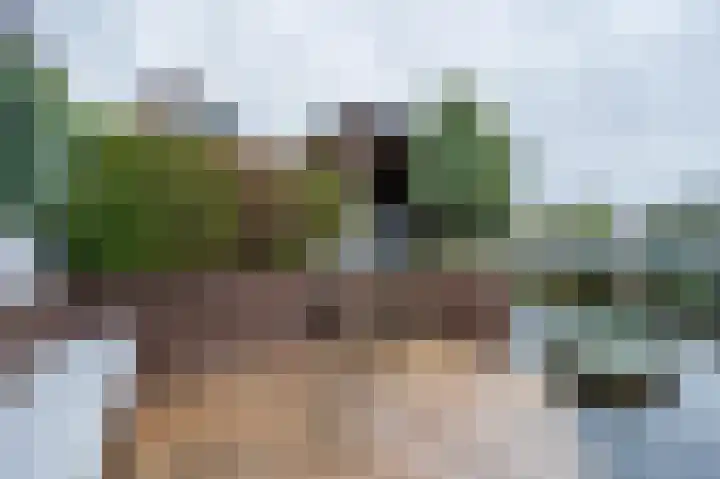 Zwanebloem 21 Bodegraven thumbnail 5