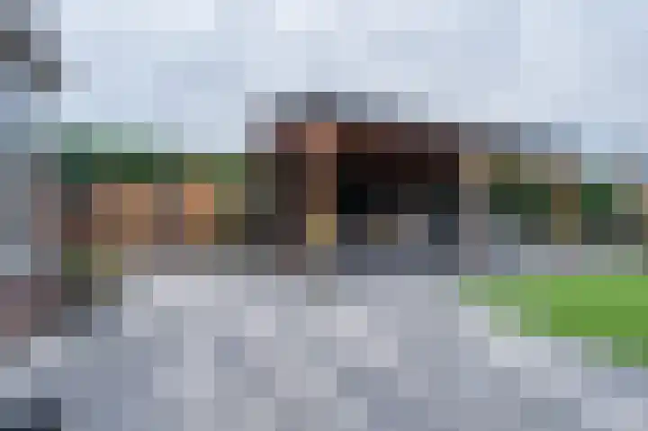 Zwanebloem 21 Bodegraven thumbnail 52