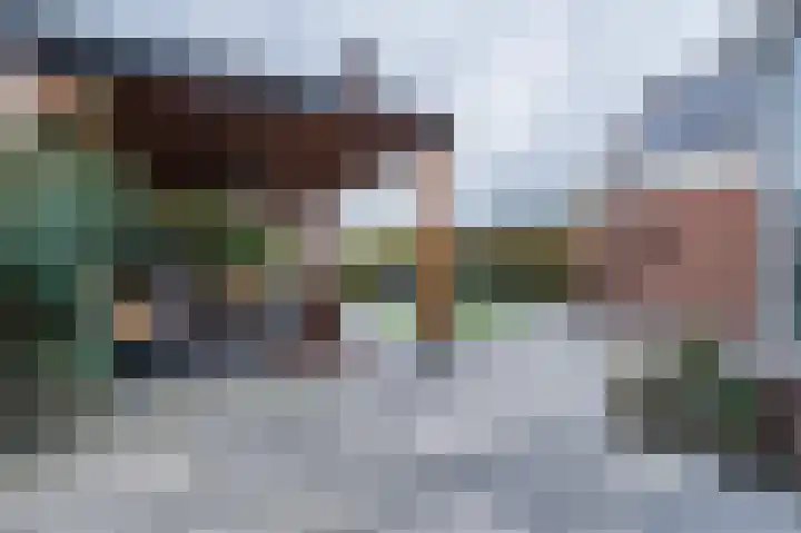 Zwanebloem 21 Bodegraven thumbnail 53