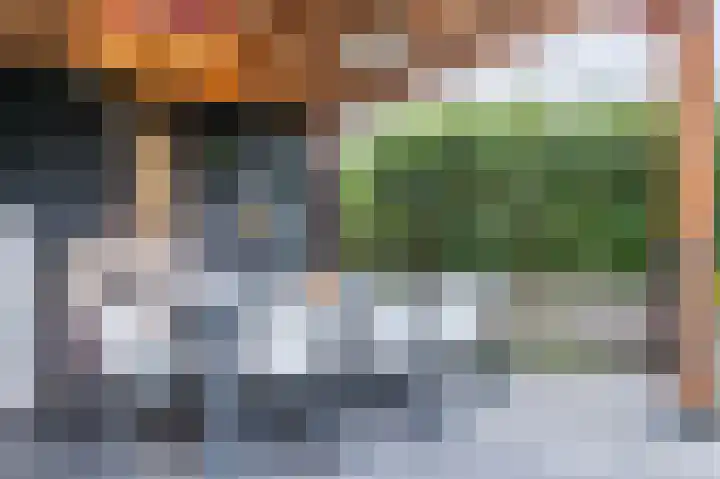 Zwanebloem 21 Bodegraven thumbnail 56