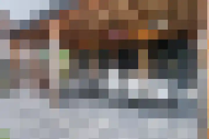 Zwanebloem 21 Bodegraven thumbnail 57