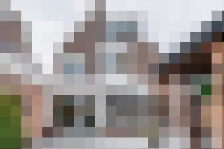 Zwanebloem 21 Bodegraven thumbnail 58