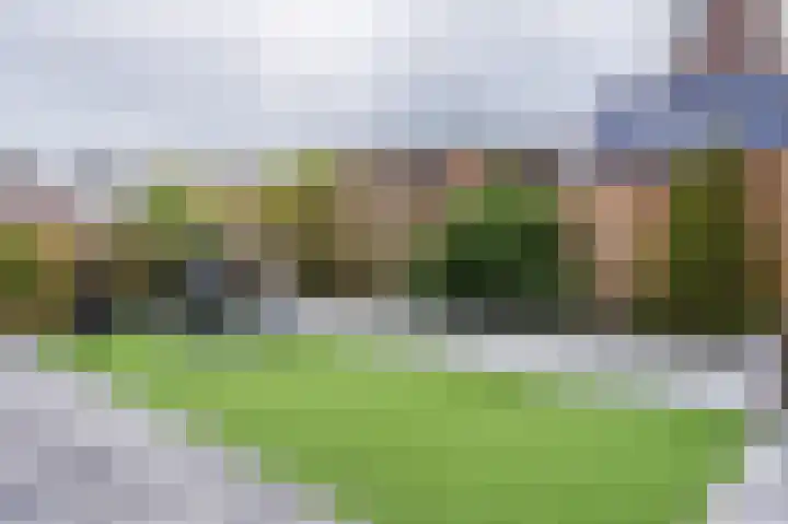 Zwanebloem 21 Bodegraven thumbnail 59