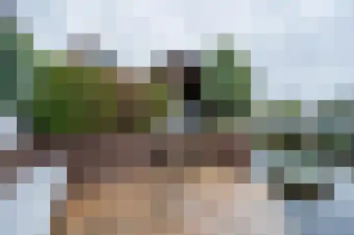 Zwanebloem 21 Bodegraven thumbnail 60