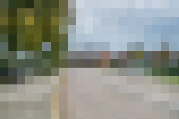 Zwanebloem 21 Bodegraven thumbnail 64