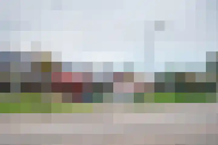 Zwanebloem 21 Bodegraven thumbnail 65