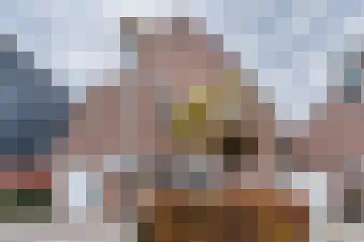Zwanebloem 21 Bodegraven thumbnail 7