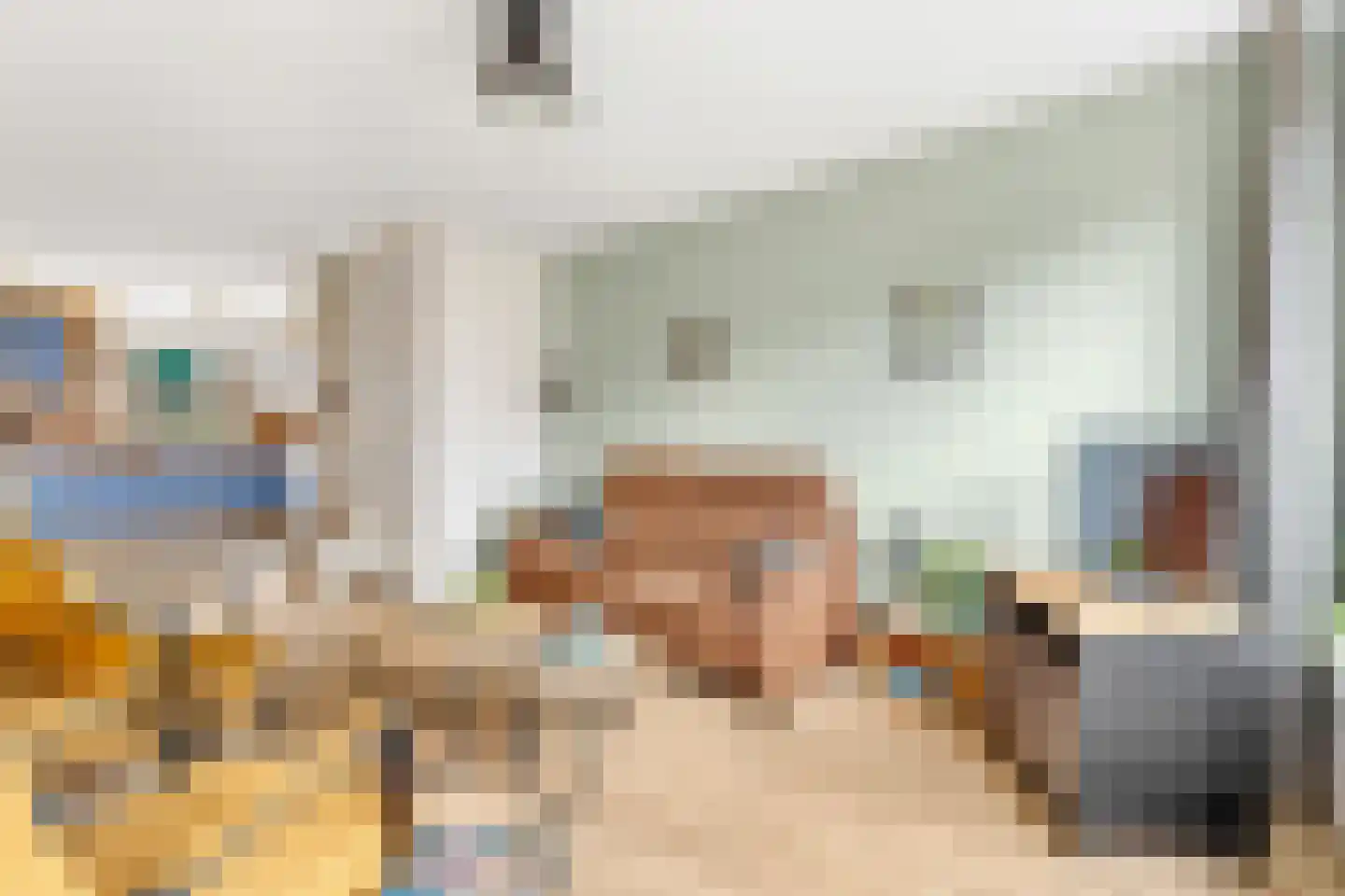Zwanebloem 22 Maartensdijk thumbnail 10
